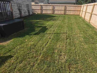 Lawn Care service in Cranberry Twp, 16066