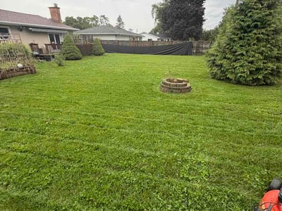 Lawn Care service in Mason, 48854