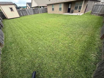 Lawn Care service in Edinburg, 78539