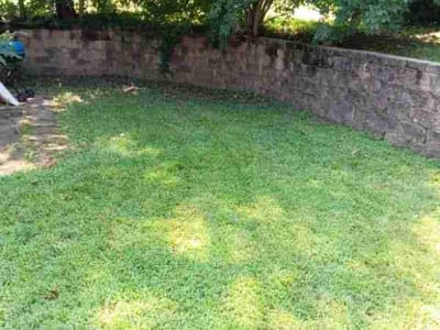 Lawn Care service in Ozark, 65721
