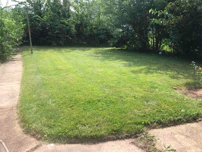 Lawn Care service in Ozark, 65721