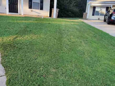 Lawn Care service in Hampton, 30228
