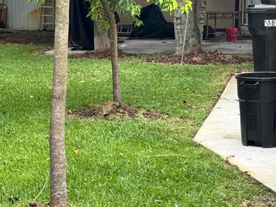 Lawn Care service in North Miami Beach, 33162