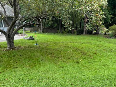 Lawn Care service in Centreville, 20120