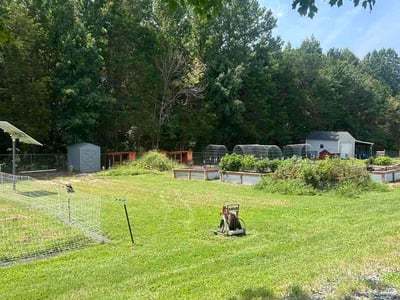 Lawn Care service in Centreville, 20120