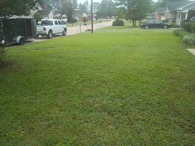 Lawn Care service in Tuscon, 85705