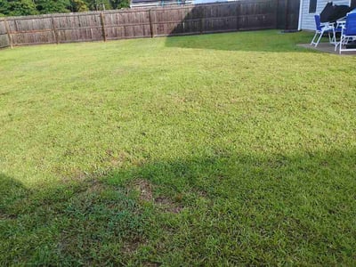 Lawn Care service in Tuscon, 85705