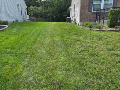 Lawn Care service in Franklin, 45005