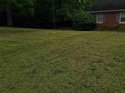 Lawn Care service in Franklin, 45005