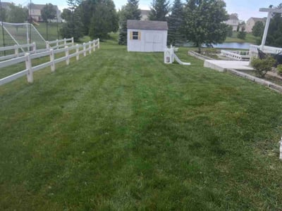 Lawn Care service in Lewis Center, 43035