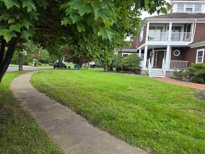 Lawn Care service in Stratford, 06615