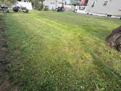 Lawn Care service in Stratford, 06615