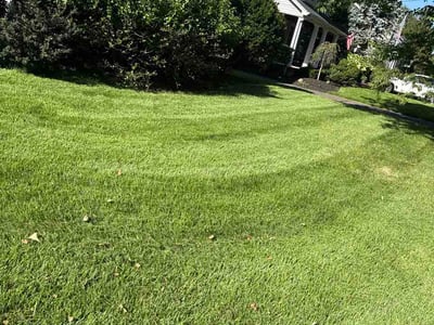 Lawn Care service in Ridgewood, 07450