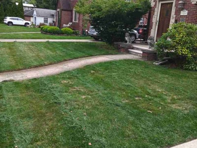 Lawn Care service in Dearborn, 48126