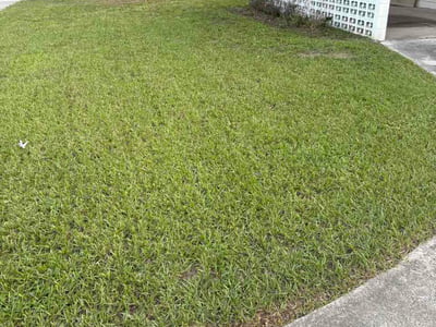 Lawn Care service in Mahwah, 07430