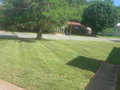 Lawn Care service in Surprise, 85374