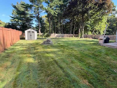 Lawn Care service in Wethersfield, 06109