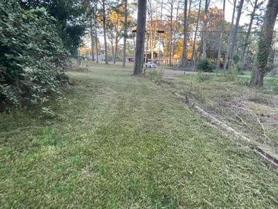 Lawn Care service in Pearl, 39208