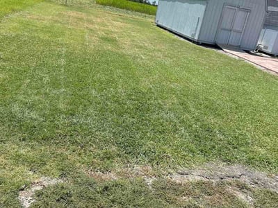 Lawn Care service in La Vernia, 78121