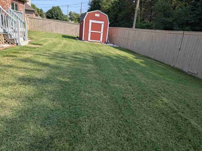 Lawn Care service in Sherwood, 72120