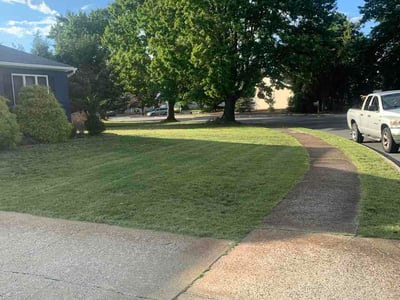 Lawn Care service in North Brunswick, 08902