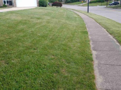 Lawn Care service in Winchester, 40391
