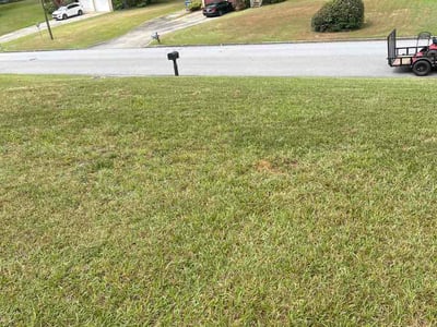 Lawn Care service in College Park, 30337