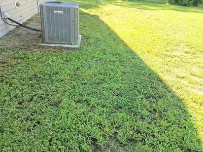 Lawn Care service in Rocky Mount, 27801