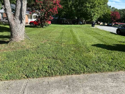 Lawn Care service in Graham, 27253