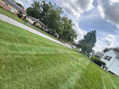 Lawn Care service in Hilliard, 43026