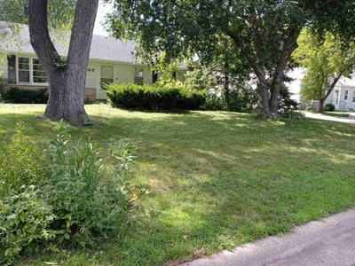 Lawn Care service in Zimmerman, 55398