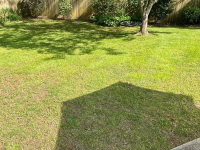 Lawn Care service in Reseda, 91335