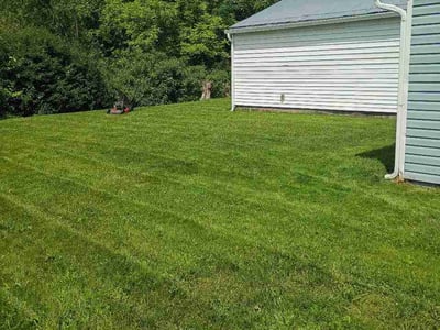 Lawn Care service in Antioch, 60002