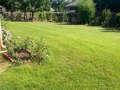 Lawn Care service in Owens Cross Roads, 35763