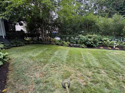 Lawn Care service in Hightstown, 08520