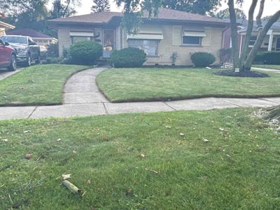 Lawn Care service in Greenville, 48838