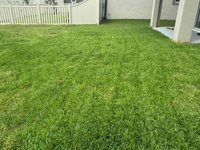 Lawn Care service in Zephyrhills, 33542