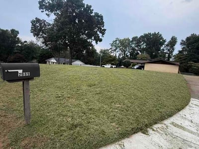 Lawn Care service in Bremen, 30110