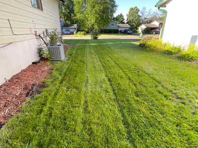 Lawn Care service in Columbia Heights, 55421