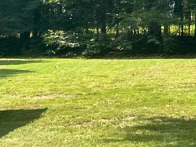 Lawn Care service in Austell, 30168