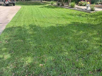 Lawn Care service in Rosharon, 77583