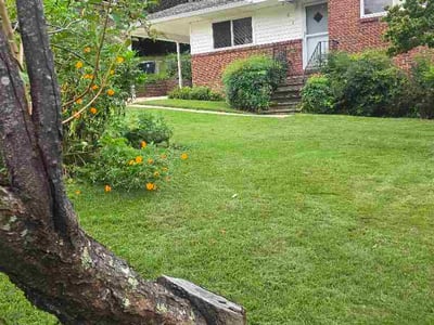 Lawn Care service in Fairfield, 35064