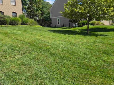 Lawn Care service in Powell, 43065