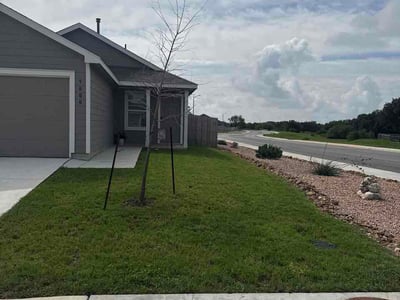 Lawn Care service in Helotes, 78023