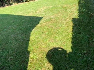 Lawn Care service in Irondale, 35210