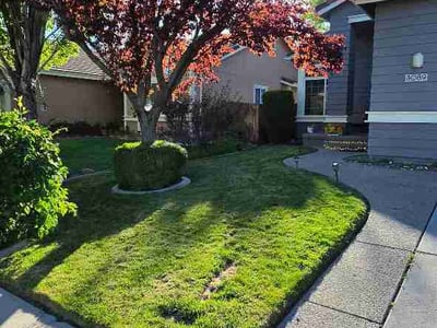 Lawn Care service in Reno, 89501