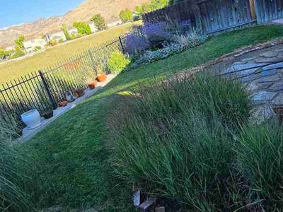 Lawn Care service in Reno, 89501