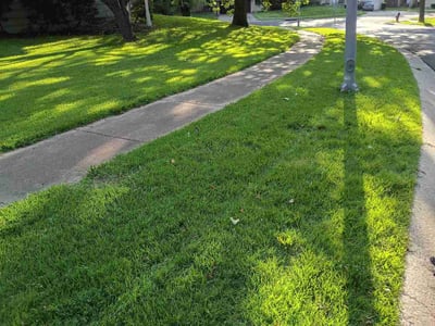 Lawn Care service in East Brunswick, 08816