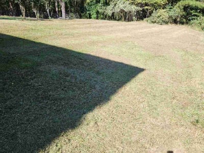 Lawn Care service in East Brunswick, 08816