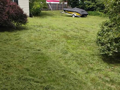 Lawn Care service in Grand Rapids, 49503